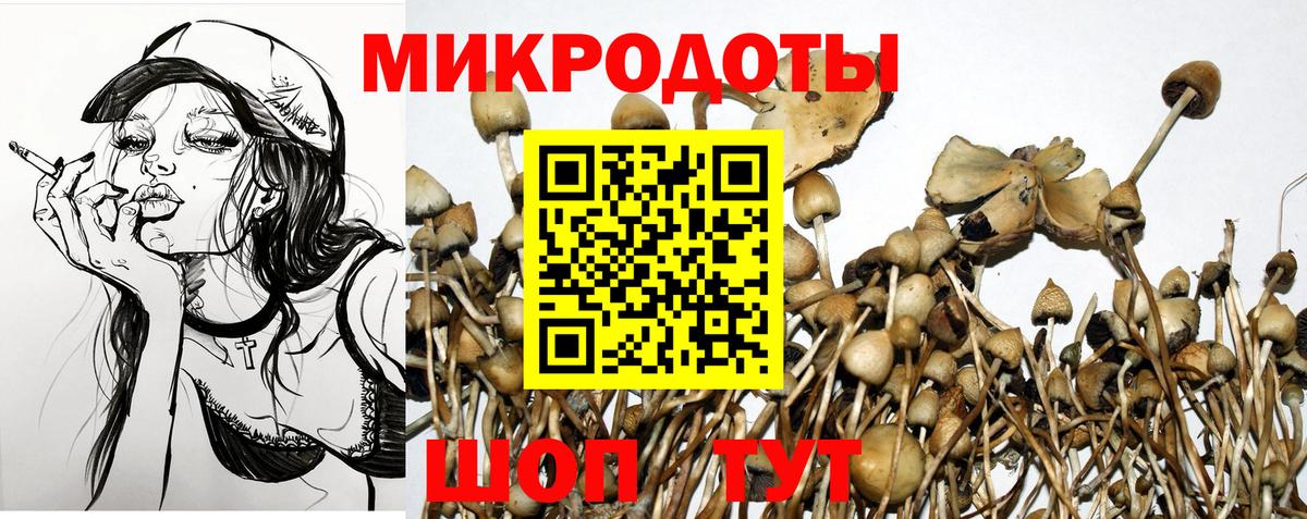 Псилоцибиновые грибы MAGIC MUSHROOMS Новочебоксарск
